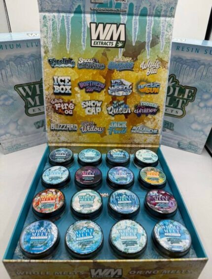 whole melt winter edition