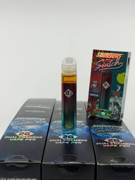 sluggers hit switch 2g dual chamber