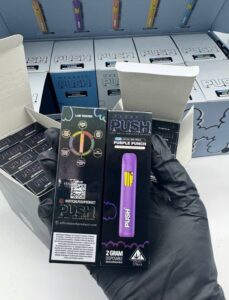 New Push 2G Disposable Vape Edition
