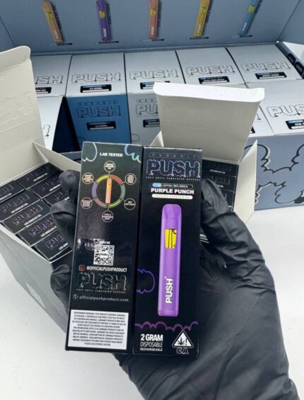 New Push Horchata 2G Disposable