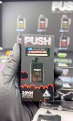 New Push 2G Disposable With Screen