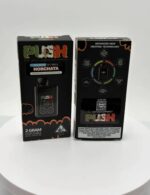 New Push Horchata 2G Disposable