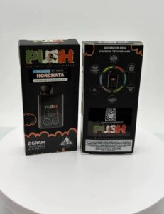 New Push Horchata 2G Disposable
