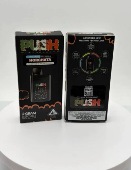 New Push Horchata 2G Disposable