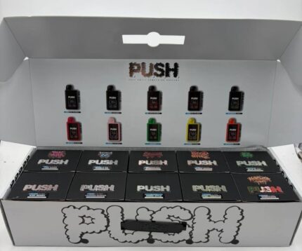 New Push Horchata 2G Disposable