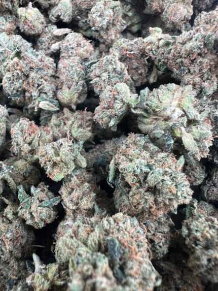 Emp Licensed Indoor Smalls