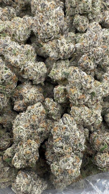 Crunch Berries Strain