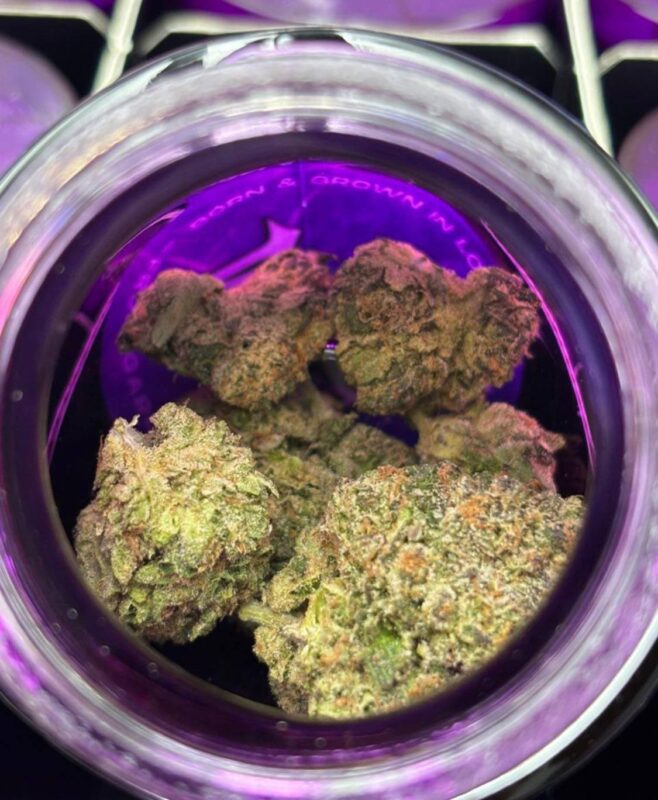 wizard trees flower 3.5g