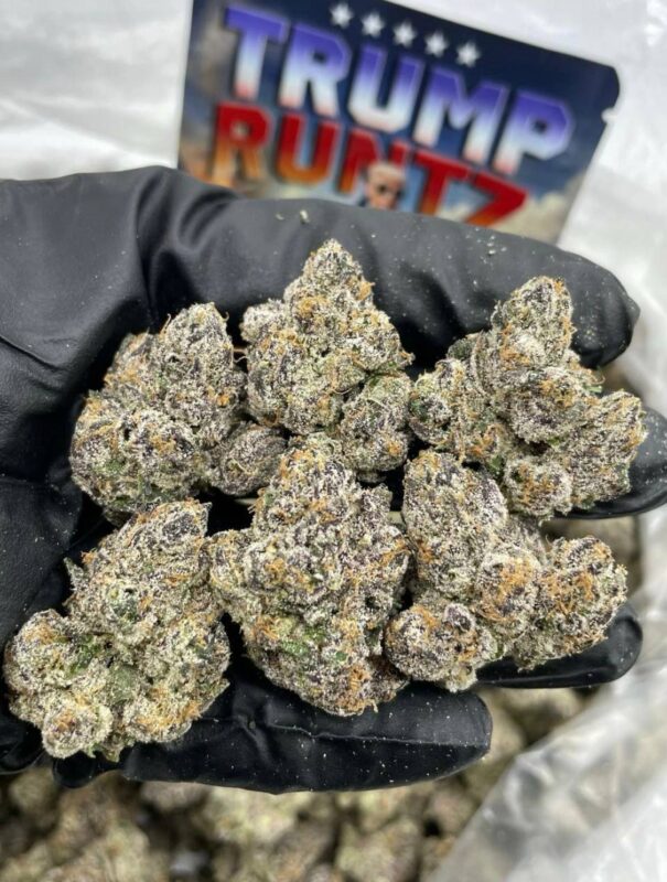 Trump Runtz Strain