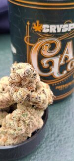 garlic cocktail strain