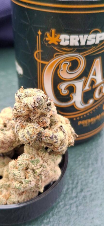 garlic cocktail strain