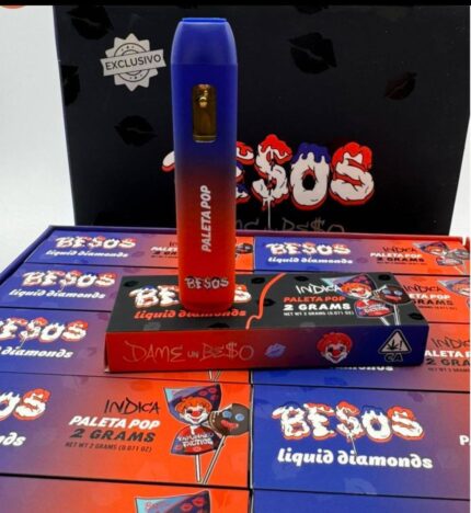 Besos Paleta Pop 2G Disposable