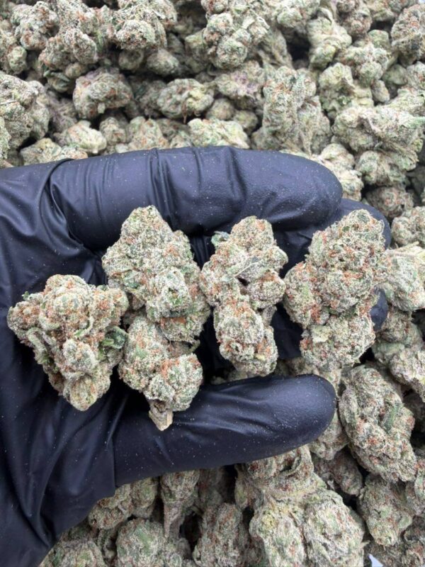 Grape Candy Runtz