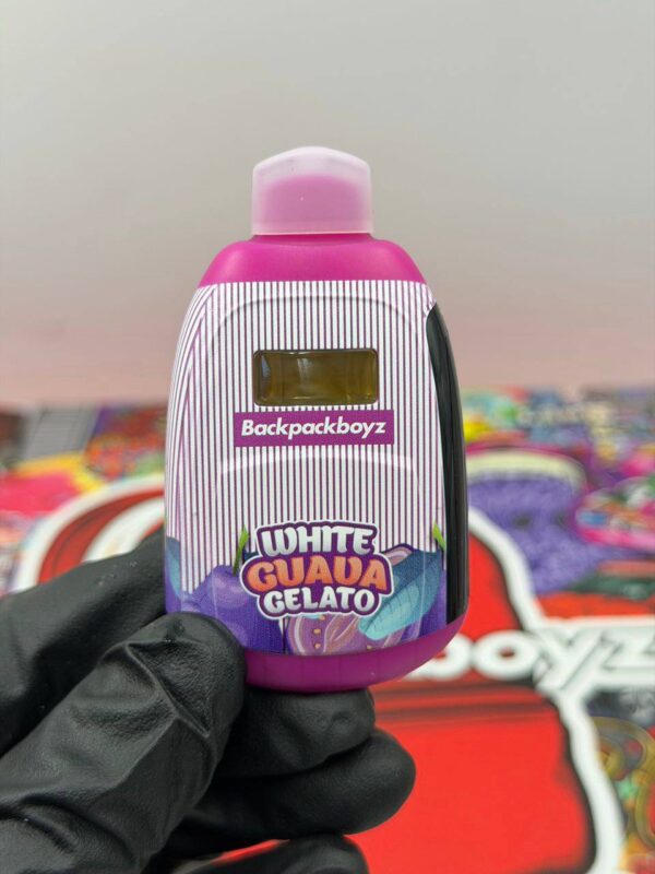 Backpackboyz 2G disposable